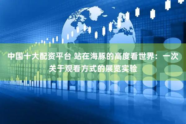 中国十大配资平台 站在海豚的高度看世界：一次关于观看方式的展览实验